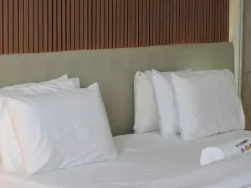 Luxury Suite